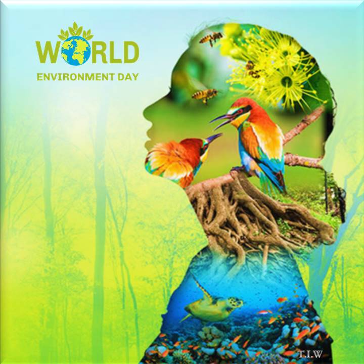 World Environment Day