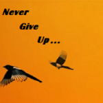 Quotes: Never Give Up