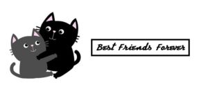 Best Friends_feature_ThoughtssInWordss