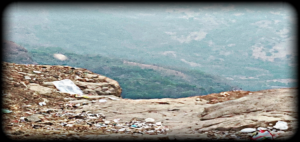 Plastic_Feature_ Thoughtss In Wordss