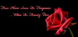 Popular Quotes