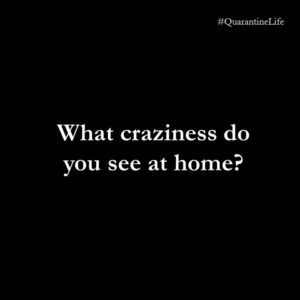 Quarantine Life