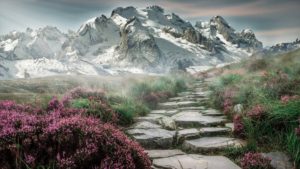 Mountain