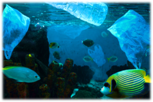 Oceans Day