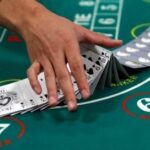 Maximize your wins at Chicken Road: an essential guide to game rules and strategies